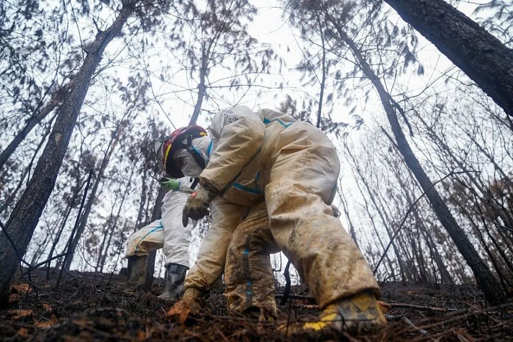 消防员东航MU5735飞行事故现场的日记：人生第一次穿上成人纸尿裤，有点害羞（组图） - 4