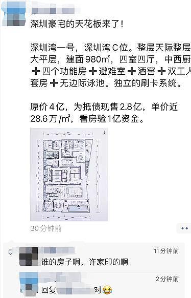 许家印又变卖家产了！深圳980平豪宅：狂降1.2亿大“甩卖”（组图） - 1