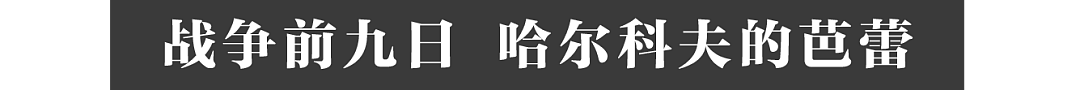 华裔摄影师的战地观察：我跟随难民穿越乌克兰（组图） - 7