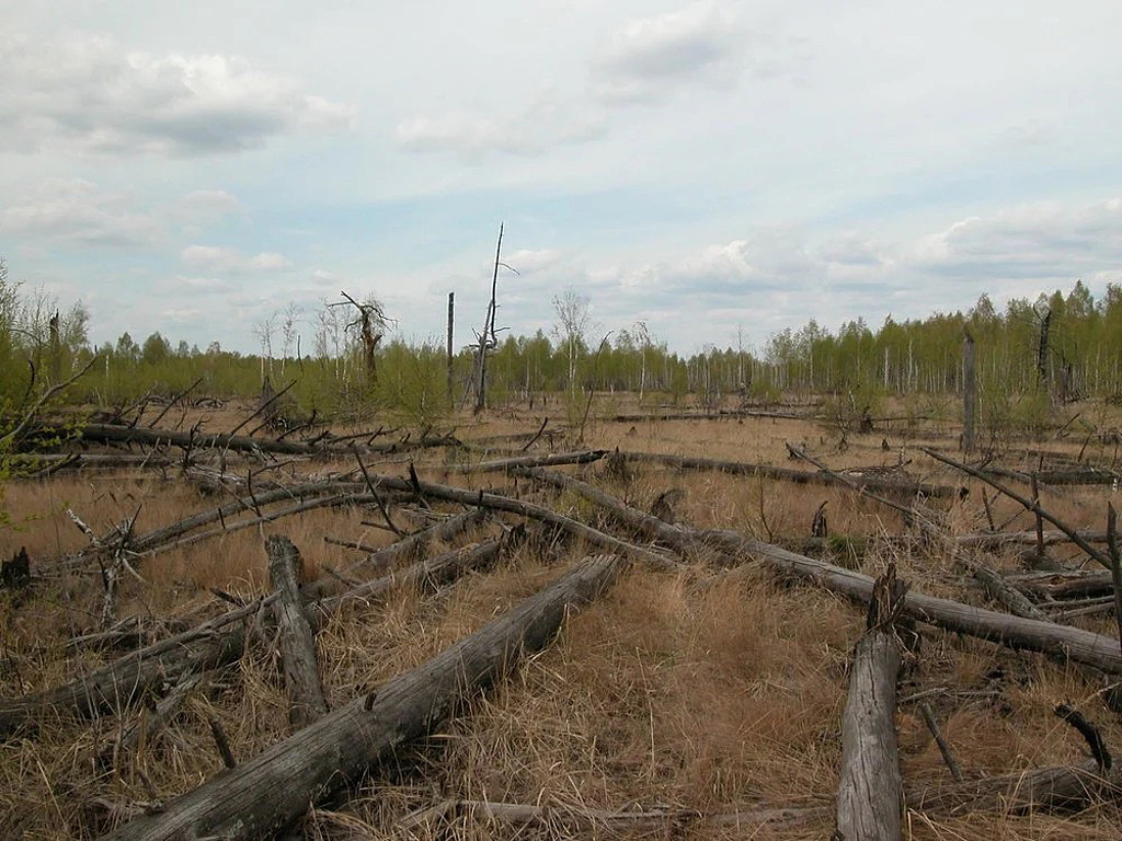 报导称，俄军士兵在占领车诺比红森林(Chernobyl Red Forest)期间，遭到辐射中毒而后送治疗。 (图/smithsonianmag)