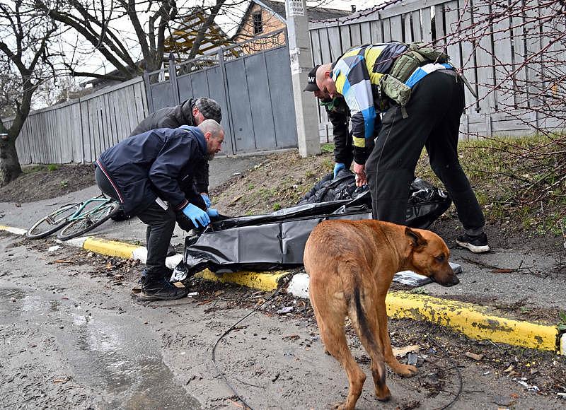 乌克兰救难人员3日在布查镇收整一具被俄军杀害的男性尸体，他所养的黄狗徘徊不去。(...