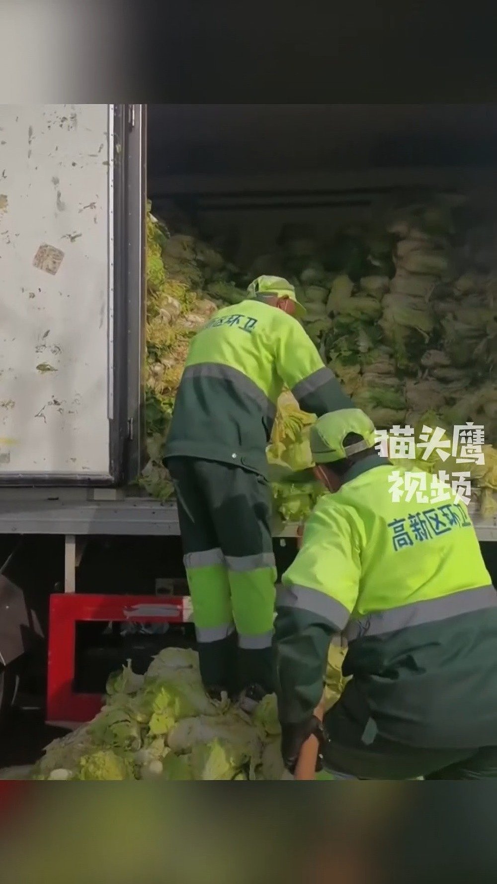 江苏昆山市场拒让沪牌车辆进入，17吨白菜腐烂报废