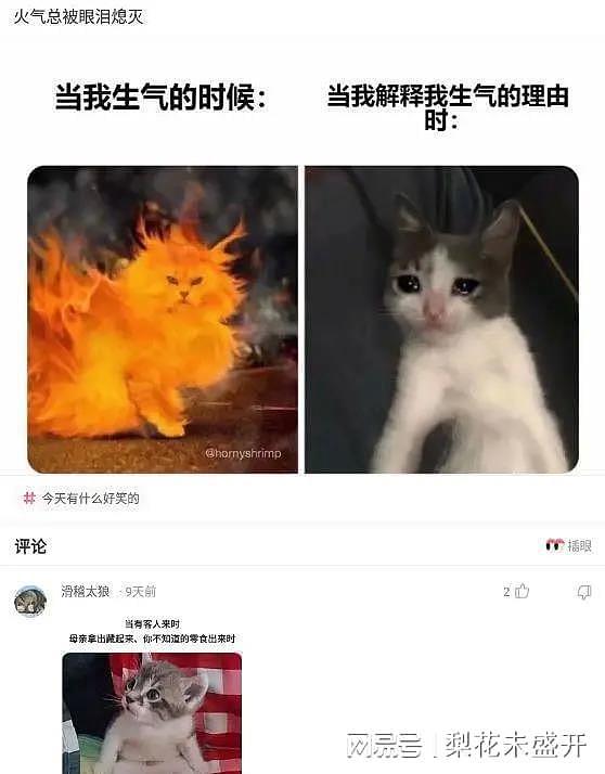 【爆笑】“大哥狂刷100万，终于跟网红见面了！”这钱花得值吗？哈哈哈（组图） - 39