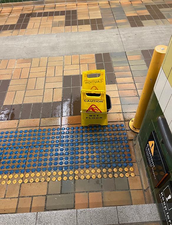 一天下两个月的雨！悉尼多地将迎连日暴雨，中央车站被淹（组图） - 5