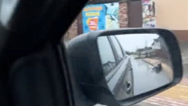 视频中有镜头显示汽车侧翼后视镜中的尸体
