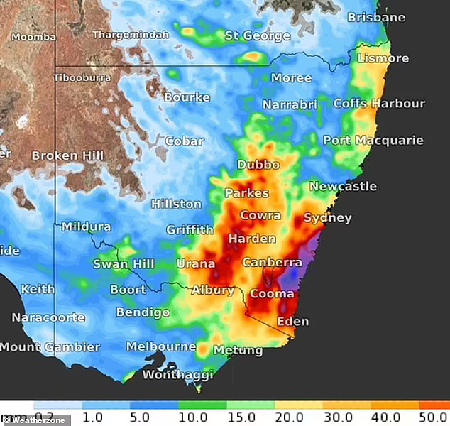 悉尼再迎暴雨，多地街道被淹，数千民众被要求紧急撤离（视频/组图） - 3