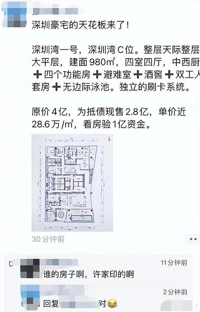 传喜茶创始人花2.7亿，买下许家印深圳湾一号豪宅（组图） - 1