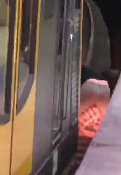 悉尼火车站惊魂一刻！老人跌落铁轨险遭列车碾压，乘客奋力救人（视频/组图） - 5