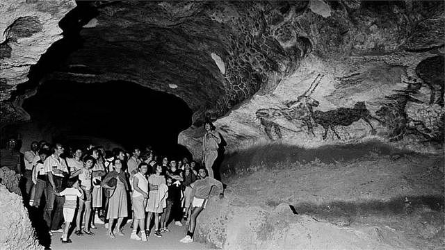 拉斯科洞窟