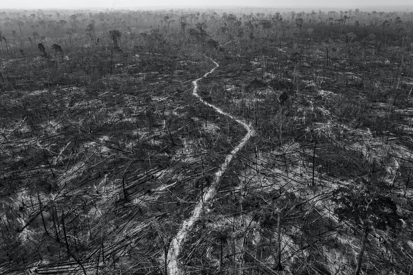 全球长期拍摄计划大奖暨南美洲区最佳长期拍摄计划：2020年8月24日，亚马逊森林的一处的树林被严重砍伐。 （Lalo de Almeida 为《圣保罗页报》拍摄／Panos Pictures）