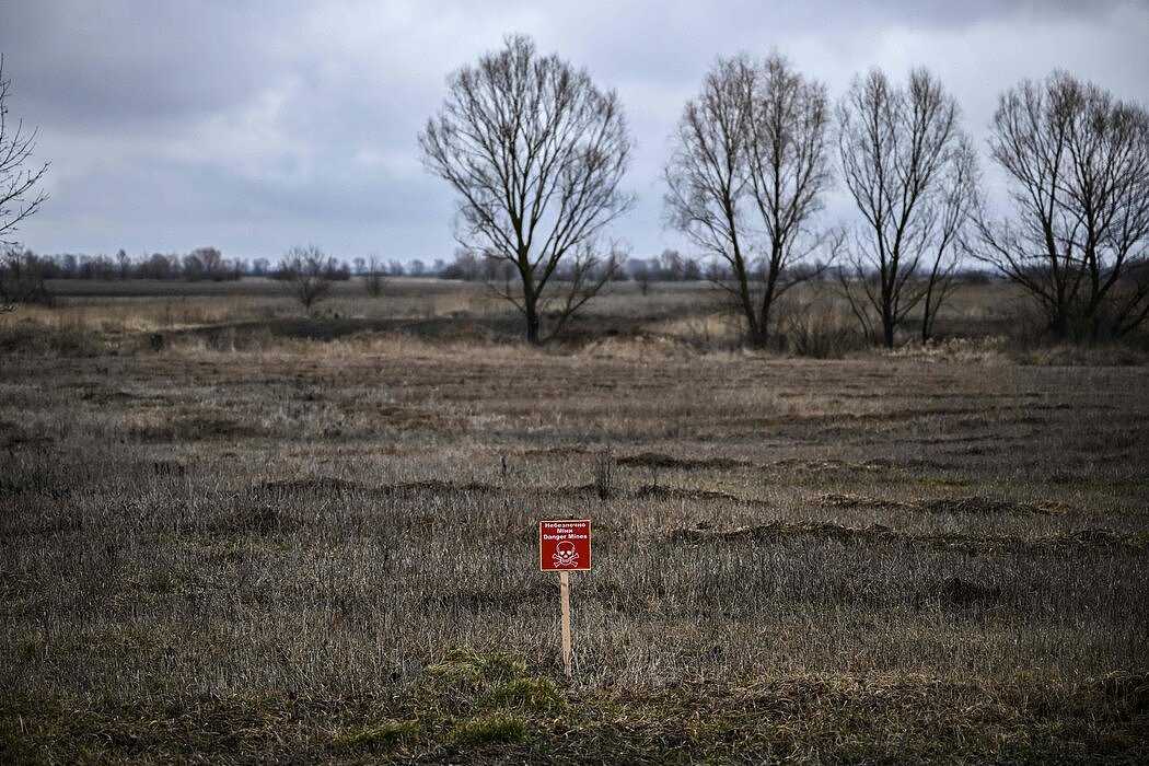 一块标志牌警告称，乌克兰涅任市附近的这片农田有地雷。