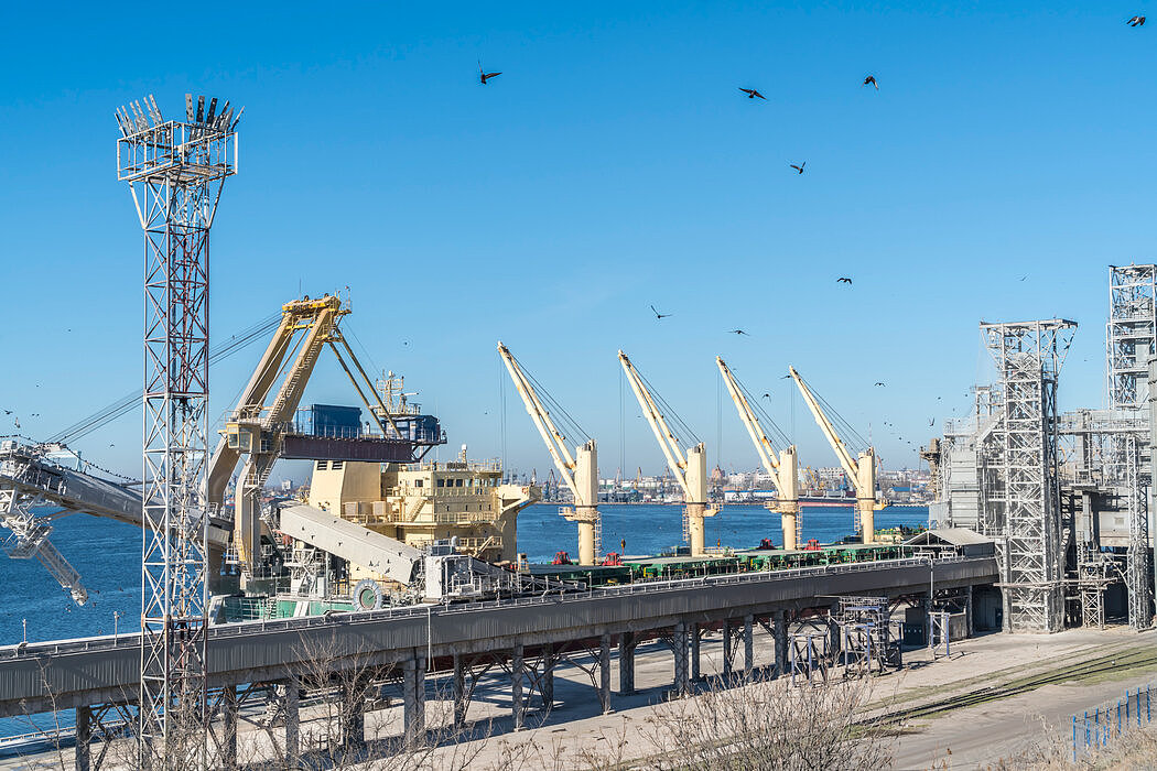 2月，黑海沿岸的尼古拉耶夫港。乌克兰几乎所有产品出口需要经过的港口都被完全封锁。