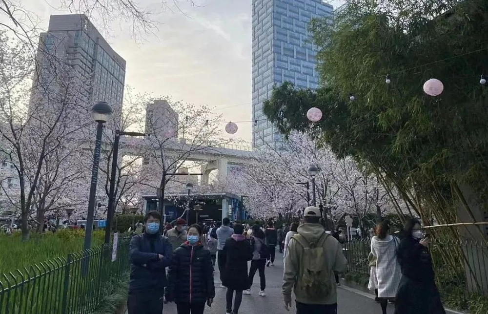 我真的不想再抢菜了！人在上海，半小时刷手机五百下，99块只买4盒馒头（组图） - 5