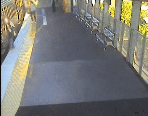 惊险！澳洲老妇火车站一头跌倒，扎进月台与列车缝隙...（视频） - 3