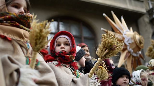 一个戴着红色花围巾的乌克兰女孩在圣诞节仪式上拿着一捆小麦。