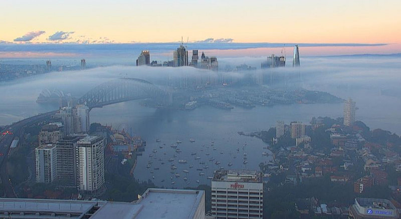 悉尼今晨被浓雾笼罩，海港大桥“凭空消失”（组图） - 3