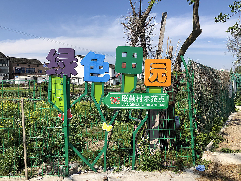 2022年4月17日，上海北蔡镇联勤村麦家宅，菜园环绕着村宅。 本文图片除注明外，均为澎湃新闻记者 李佳蔚 图