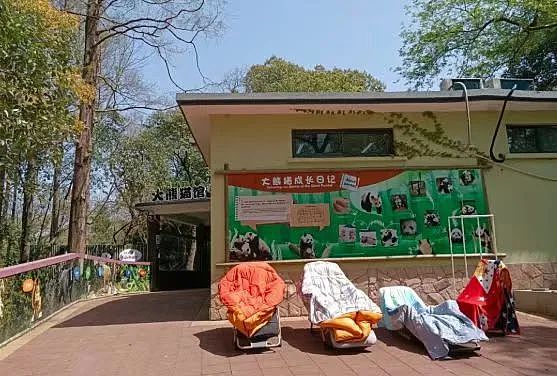 上海动物园300多个人和5000多只动物的封闭生活（组图） - 2