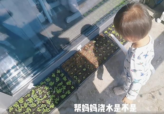 苗苗妹妹在郑恺家住，没睡卧室而在书房搭帐篷，妹妹：有安全感（组图） - 1