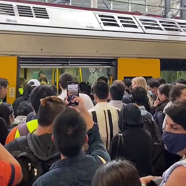 列车紧急维修，悉尼多条城铁线路取消延误！通勤者质疑：交通APP隐瞒事实（组图） - 2