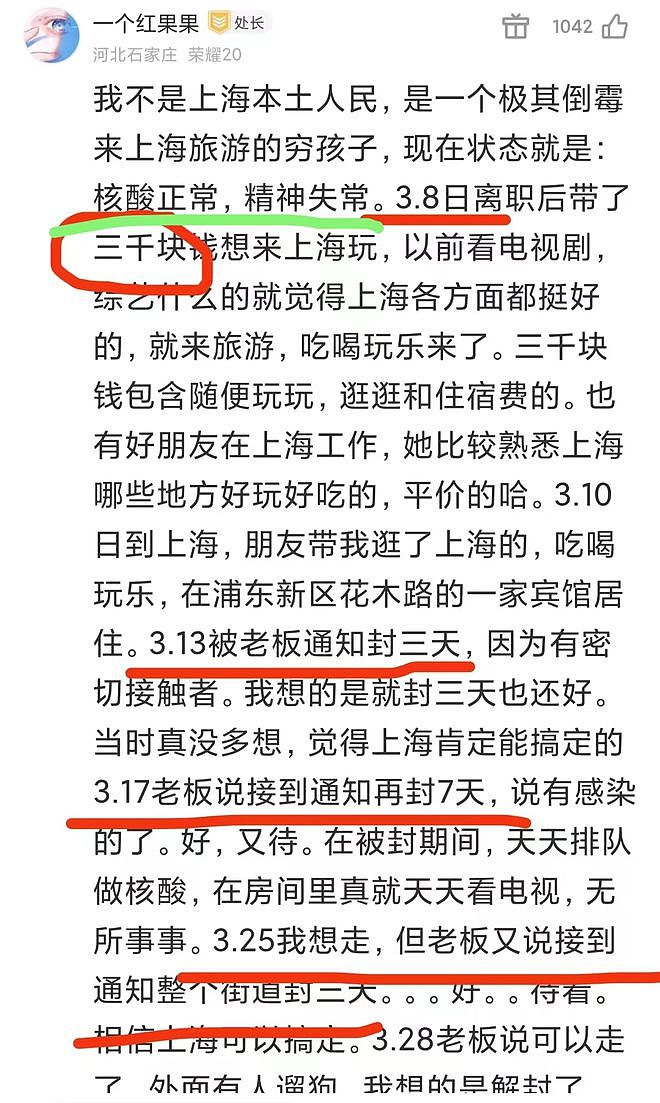 一个月前她辞职带着3000块去上海玩，如今：核酸正常，精神快失常（组图） - 1