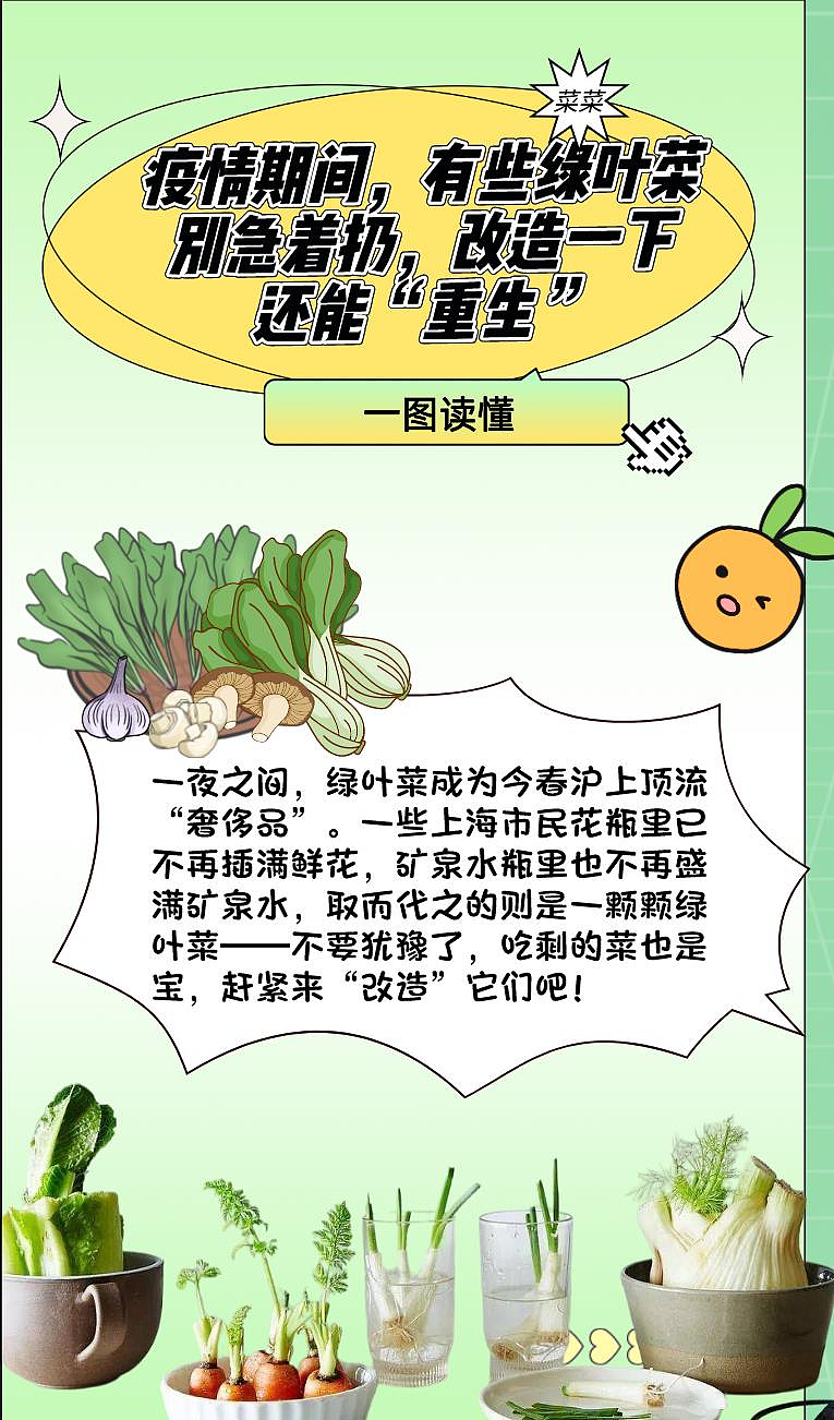 为谋生存，上海台联教导封控在家的市民如何自己种菜吃菜维生。 （截图自上海台联）