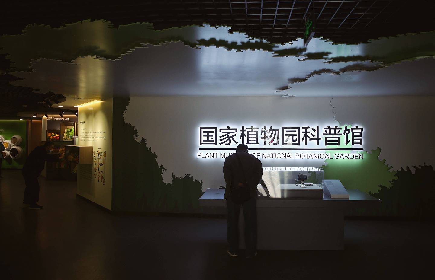中国国家植物园科普馆开放，世界上最大的种子亮相 (组图) - 1