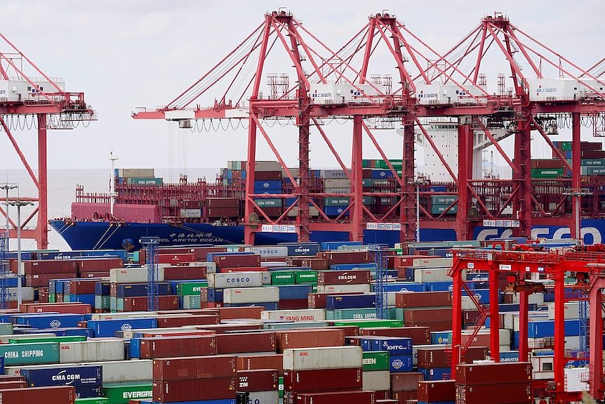 Several red cranes sit among dozens of shipping containers at a port in China