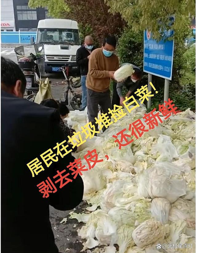 上海多个居民到垃圾堆捡“腐烂被扔掉”的白菜吃：里面都是好的，比买的还新鲜（视频/组图） - 1