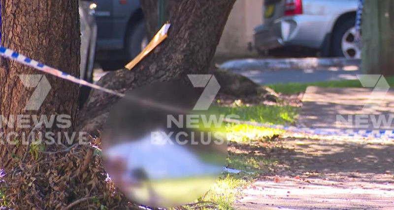 男子疑在悉尼公园意外死亡，一人接受警方调查（组图） - 3