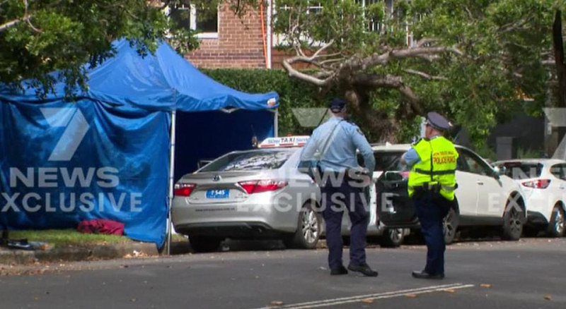 男子疑在悉尼公园意外死亡，一人接受警方调查（组图） - 2