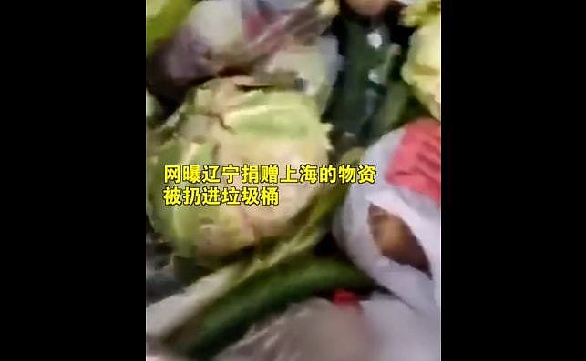 捐赠蔬菜腐烂、保供单位腐败、生活物资“有毒”！这几天上海市民的朋友圈堪称315打假现场（组图） - 4