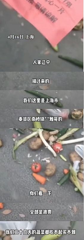 捐赠蔬菜腐烂、保供单位腐败、生活物资“有毒”！这几天上海市民的朋友圈堪称315打假现场（组图） - 8