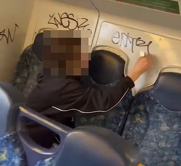 新州“小混混”火车上涂鸦被抓现行，羞愧低头！车门打开后立马“开溜”（视频/组图） - 2