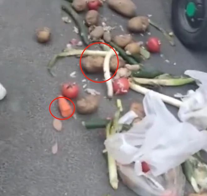 辽宁援沪蔬菜被扔垃圾桶，上海辟谣后辽宁反辟谣：全程冷链，全程录像，不可能腐坏（视频/组图） - 1