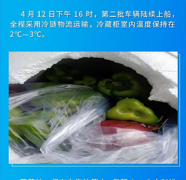 辽宁援沪蔬菜被扔垃圾桶，上海辟谣后辽宁反辟谣：全程冷链，全程录像，不可能腐坏（视频/组图） - 8