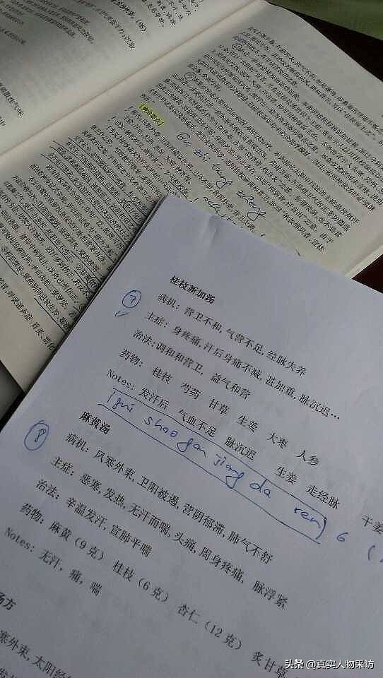 我80后德国人，在中国学中医17年，学会了养生，一年只吃一次汉堡