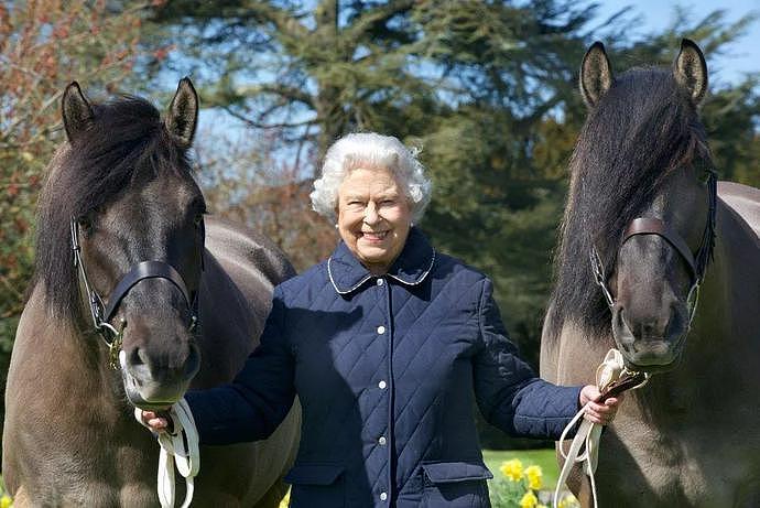 英国女王牵白马过96岁生日！优雅隐忍一辈子，被儿孙伤透心…（组图） - 3