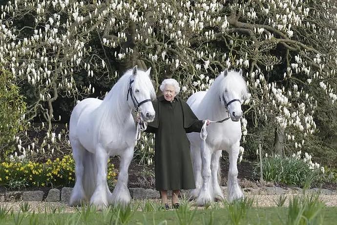 英国女王牵白马过96岁生日！优雅隐忍一辈子，被儿孙伤透心…（组图） - 2