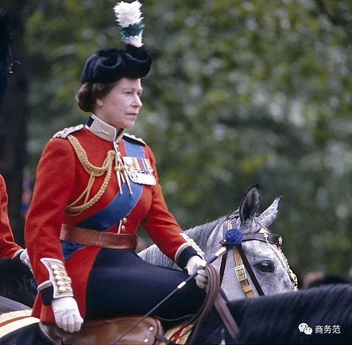 英国女王牵白马过96岁生日！优雅隐忍一辈子，被儿孙伤透心…（组图） - 20