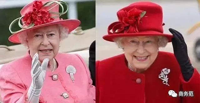 英国女王牵白马过96岁生日！优雅隐忍一辈子，被儿孙伤透心…（组图） - 53
