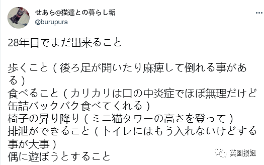 日本最长寿猫猫离世，伴主人28年，死后留灵异符号暖哭网友（组图） - 16