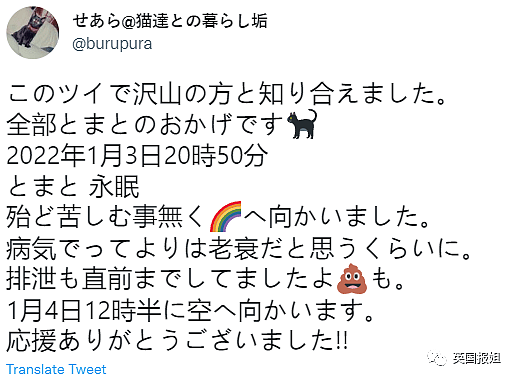 日本最长寿猫猫离世，伴主人28年，死后留灵异符号暖哭网友（组图） - 24