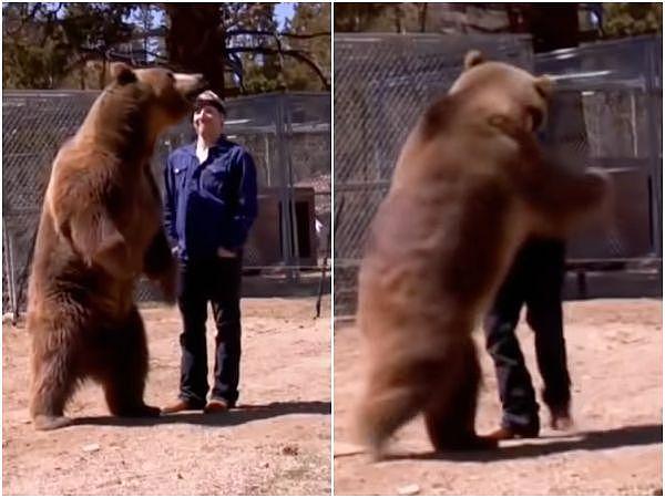 bear.jpeg,0