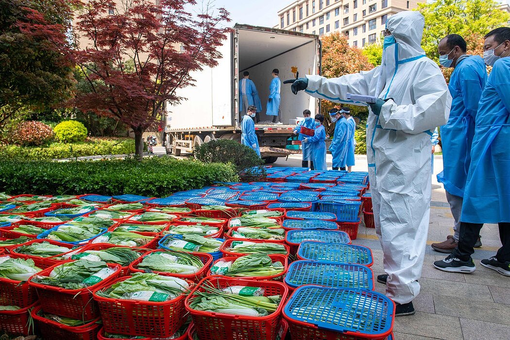 本月早些时候，一名社区志愿者在检查分发给上海浦东新区封控区居民的蔬菜。