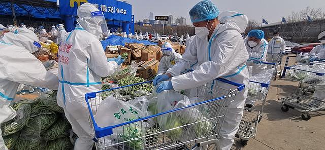 上海闵行采购20万斤蔬菜，山东：钱不要菜照送（组图） - 3