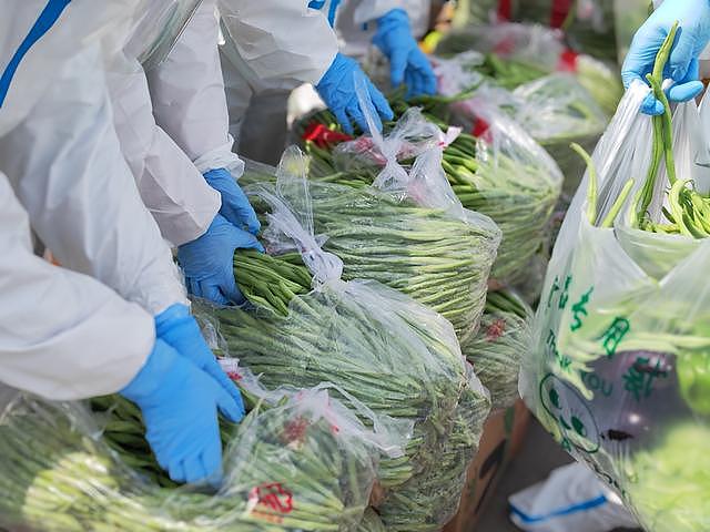 上海闵行采购20万斤蔬菜，山东：钱不要菜照送（组图） - 4