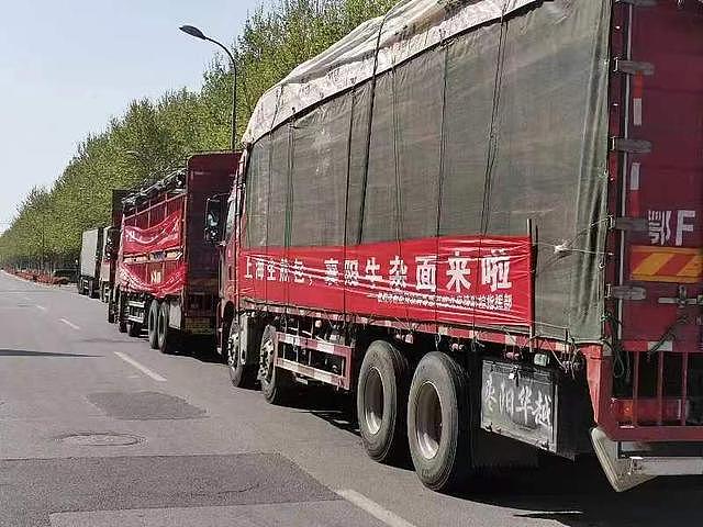 上海闵行采购20万斤蔬菜，山东：钱不要菜照送（组图） - 11