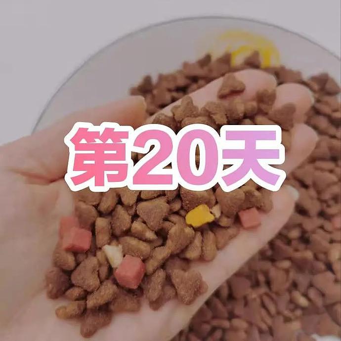 上海小伙晒疫情宅家伙食，第1天跟第20天差异巨大，网友：太心疼了（组图） - 6