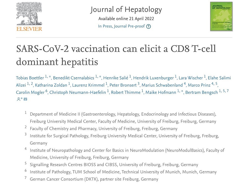 德国研究：辉瑞mRNA疫苗可能引发自身免疫性肝炎（组图） - 1